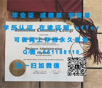 《奥塔哥大学文凭：开启全球认可的学术之旅，成就你的辉煌人生》