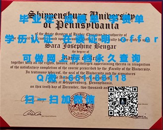新西兰林肯大学文凭：国际认可的优质教育，开启全球职业发展新篇章