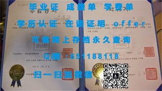 《马来西亚南方学院文凭：揭开该校学历的全球认可与价值》