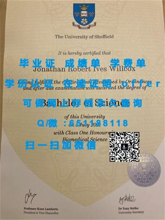 《南非夸祖鲁纳塔尔大学文凭：探索南非高等教育的新篇章》