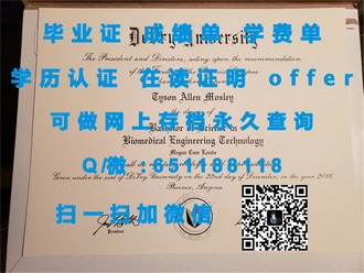 《都柏林理工学院文凭：开启全球认可的学术之旅》