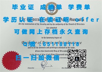 《新加坡管理大学文凭：开启全球就业新视野的黄金钥匙》