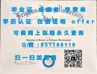 《新加坡义安理工学院文凭：揭秘国际认可的学术明珠》