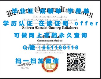 《沙顿商学院文凭：揭开顶尖商学教育的神秘面纱》