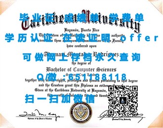 《伦敦南岸大学文凭：揭秘其教育品质与全球认可度》