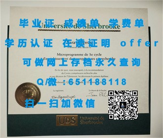 《德蒙特福特大学文凭：开启你的国际学术之旅》