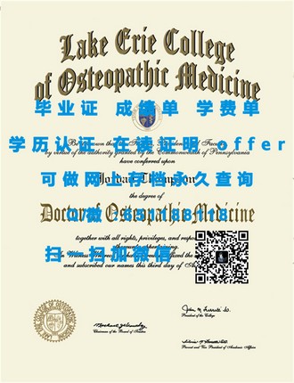 《斯特兰米尔斯大学文凭：开启您国际学术旅程的钥匙》