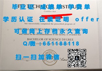 亨里管理学院文凭：揭秘全球顶尖商学院的卓越成就与认可度