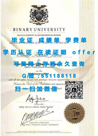 《奥克兰商学院文凭：开启国际职场新篇章的秘密武器》