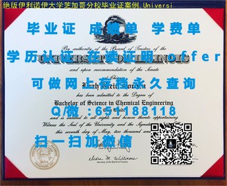 《奥塔哥大学文凭：开启职业生涯的黄金钥匙，成就你的学术梦想》