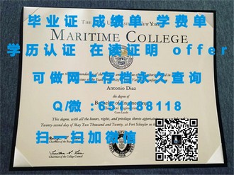 怀卡托理工学院文凭：开启你的国际学术之旅