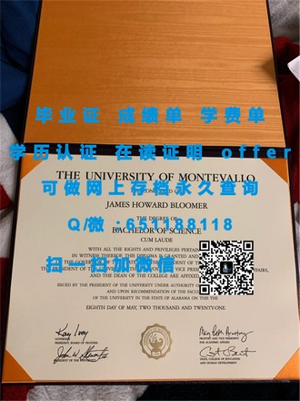 梅努斯大学文凭：解锁国际教育品质的敲门砖