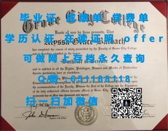 《都柏林大学文凭：揭开世界级教育认证的神秘面纱》