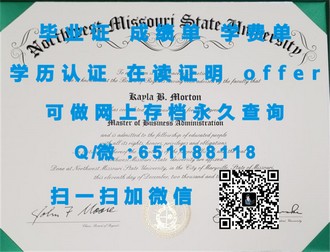 《利默里克大学文凭：开启全球认可的学术之旅》