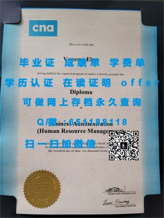 《南澳大学文凭：开启全球就业市场的黄金钥匙》