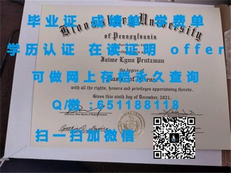 《苏塞克斯大学文凭：开启国际学术之旅的敲门砖》
