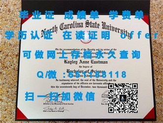 《格拉斯哥卡利多尼亚大学文凭：开启艺术与创意领域的无限可能》
