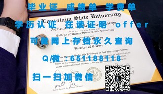 《南安普顿索兰特大学文凭：开启你的国际学术之旅》
