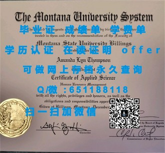 《奥塔哥大学文凭：开启全球认可的学术之旅》