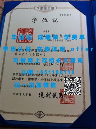 《墨尔本皇家理工大学文凭：开启全球就业新视野的黄金钥匙》