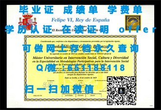 《斯文本科技大学文凭：解锁全球认可的教育成就与未来职业发展》