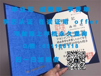 《揭秘南洋理工学院文凭含金量：毕业生就业前景及行业认可度一览》